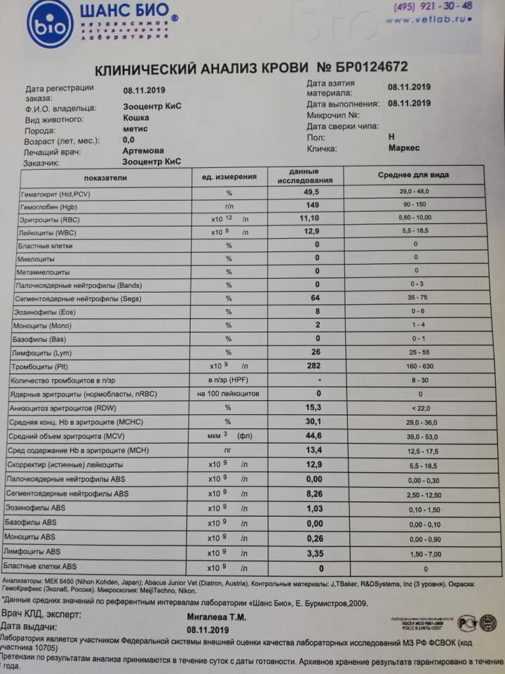 Маркес анализы