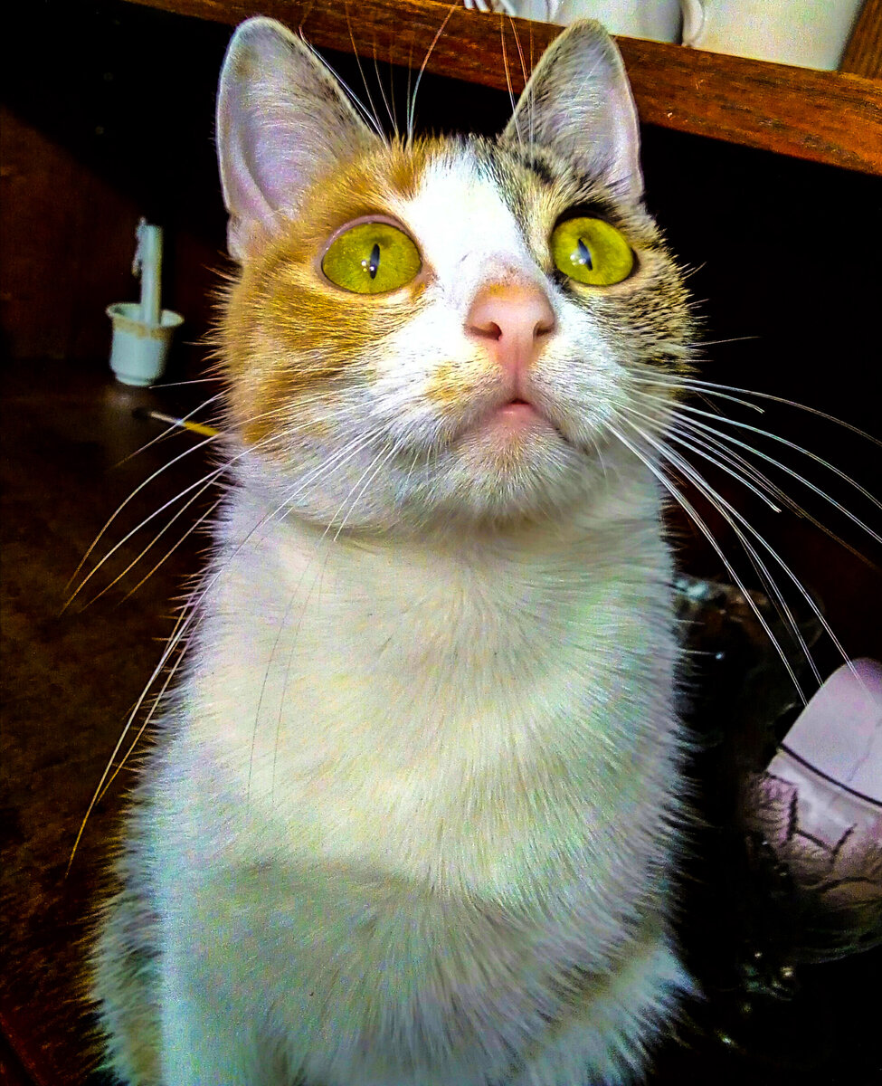 Такой стала моя красотка