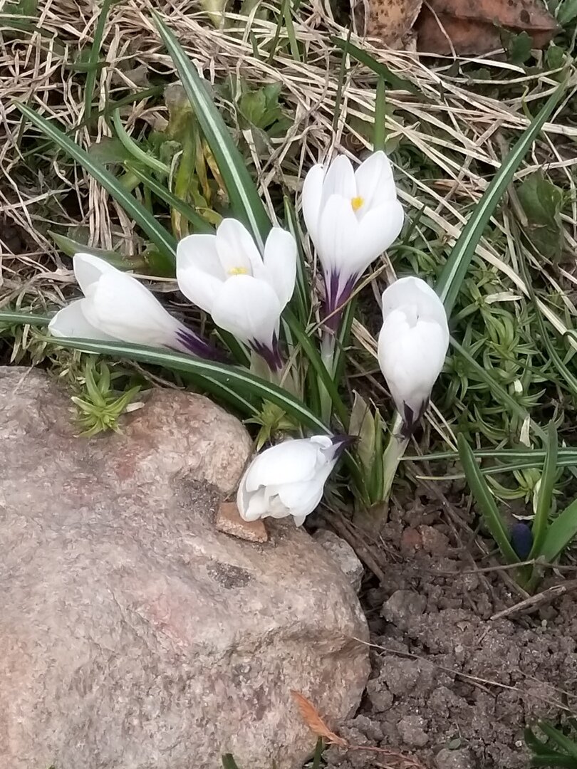 *                                                                                              Фото автора статьи