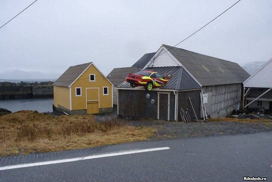 Источник фото https://ribalych.ru