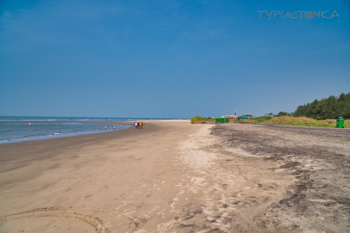 Черепаший пляж в Морджиме (Гоа) в декабре 2019: люди есть, черепах - нет