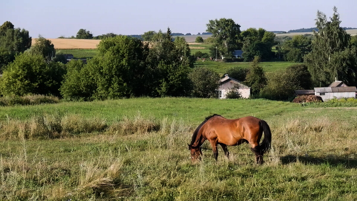 Село Ушаково Колпнянский район Орловской