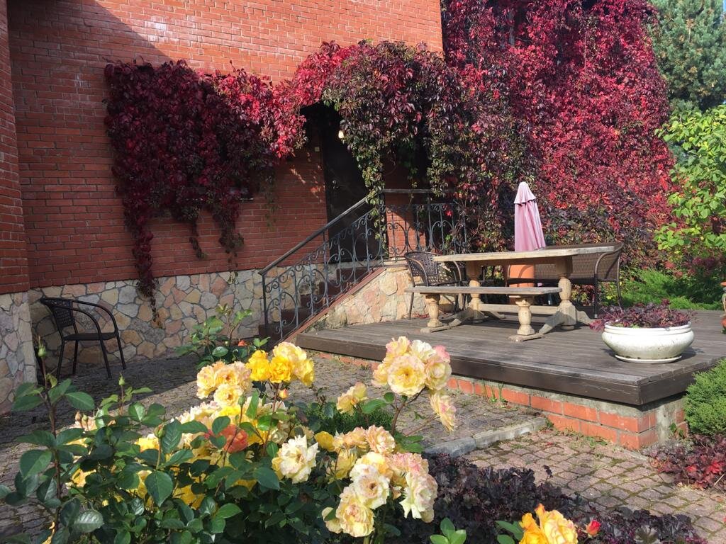 Трудно спорить, что осенью, когда листья краснеют, девичий виноград особенно красив