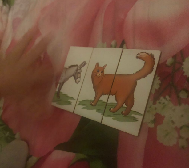 Простенькие пазлы: две половинки из дерева с рисунком. Собираем перед сном на кровати.