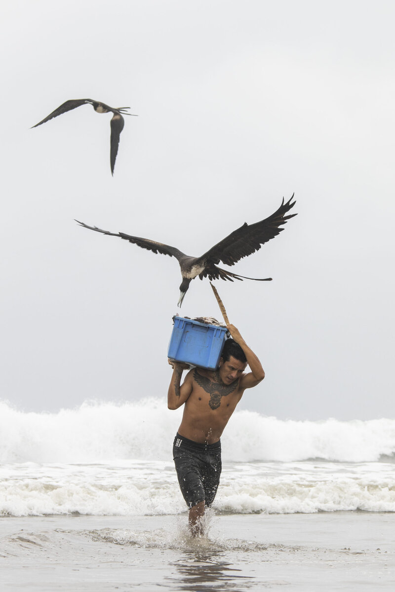 Jef Pattyn, Stealing Fish