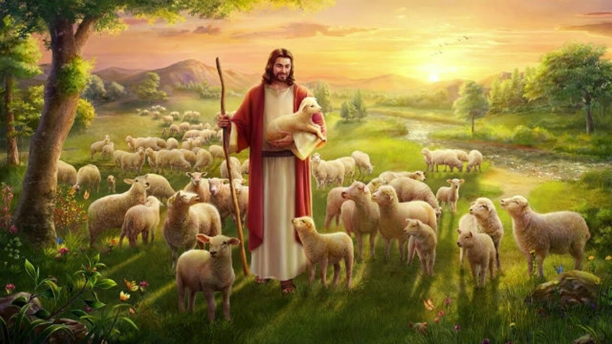 Из открытых источников