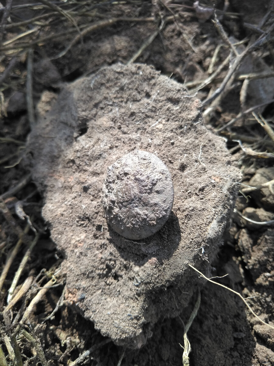 С орлом, но вся в наростах . Посредине квадратик с какими-то обозначениями, разобрать не получилось.