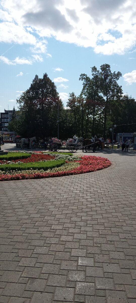 Лошадки в ожидании 