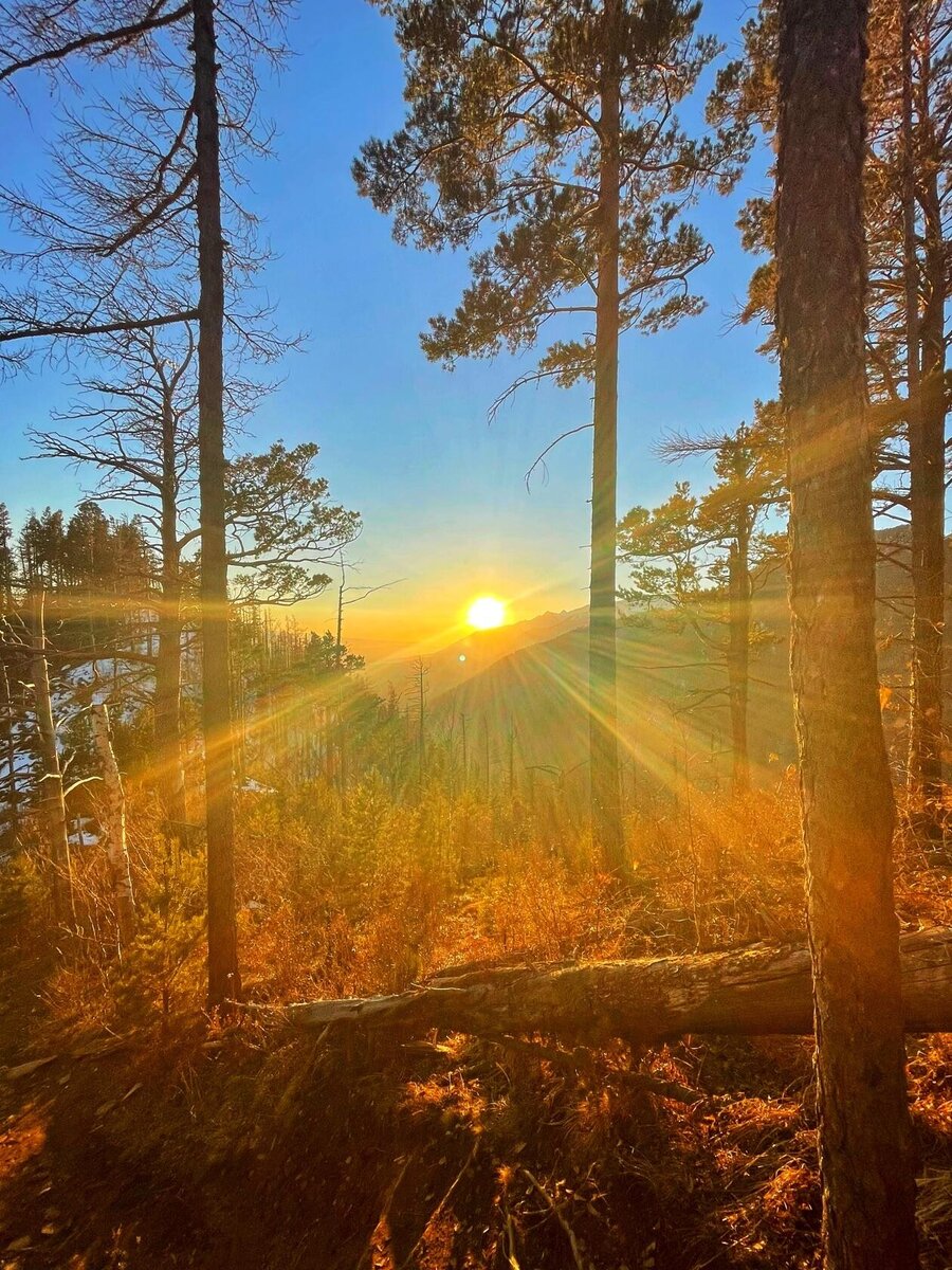 Фото Алёны Лосевой