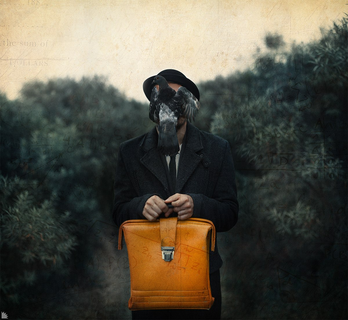 фото Александр Осипов
