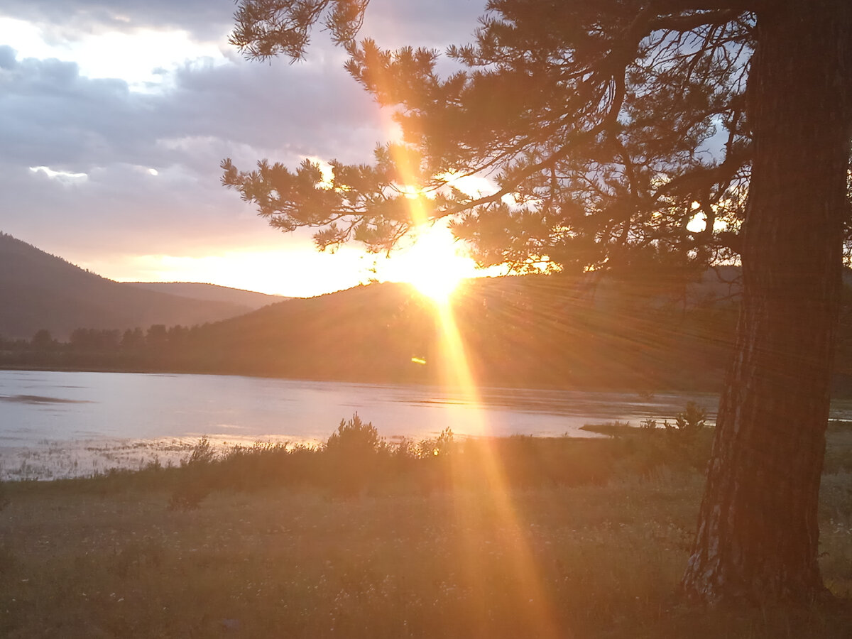 Оазис в пустыне:):)