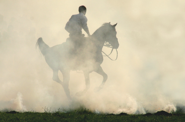 Яндекс-картинки