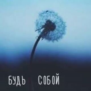 Картинка из интернет