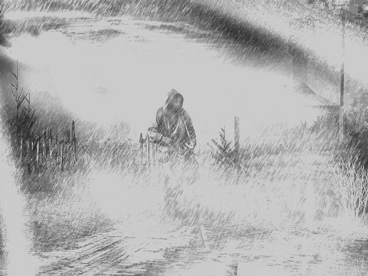 С использованием изображения