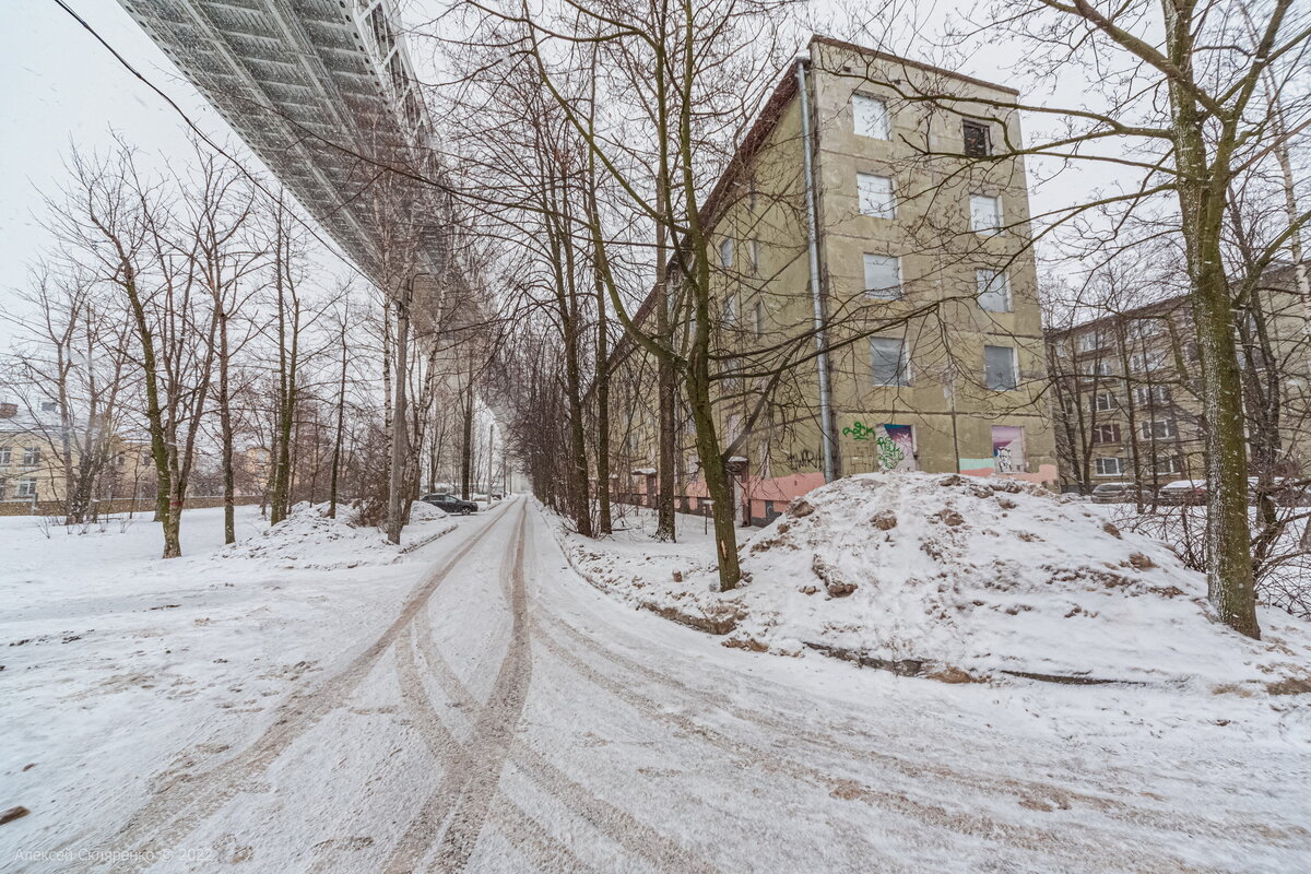 Питерский киберпанк. Как живёт Канонерский остров под эстакадой Западного  Скоростного Диаметра? | НЕ ФОТОГРАФ | Дзен