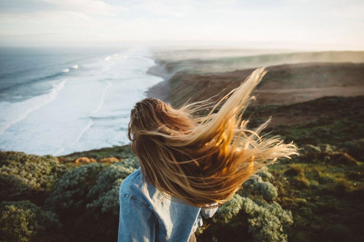 Яндекс. Картинки