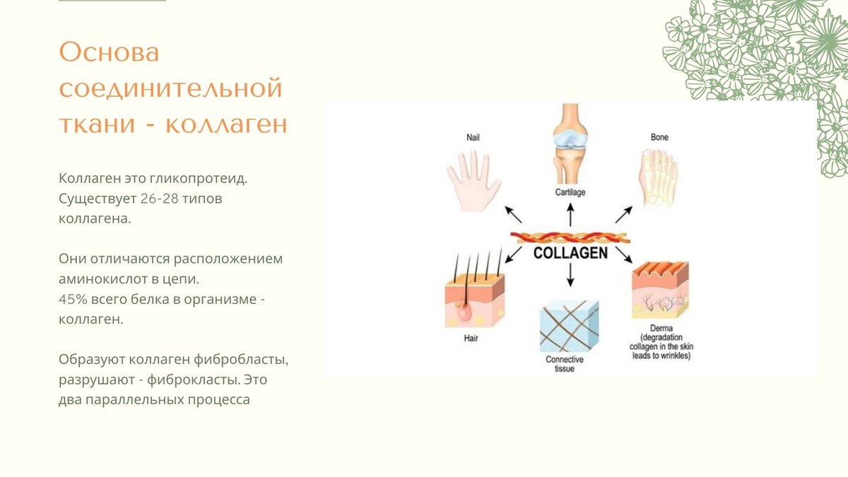 Источник: https://www.pobedi2.ru/natural_products/other_natural_products/Kollagen_Kozha_Sustavy_Sosudy/