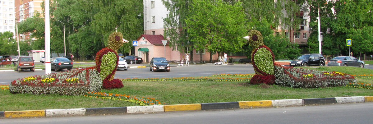 Павлины на пересечении улиц Гурьева и Свободы улетели в историю