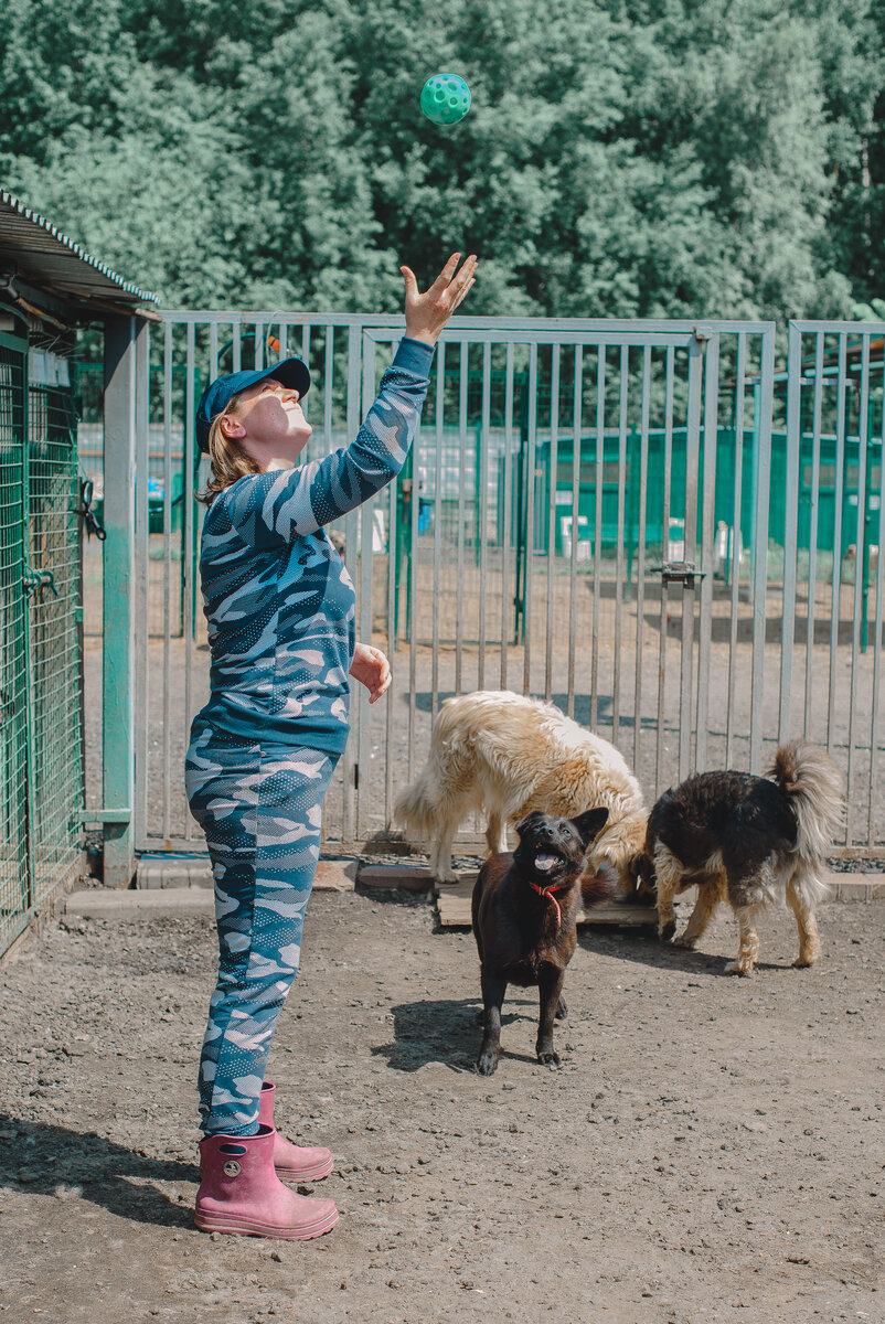Но закаты в приюте всегда пропитаны грустью