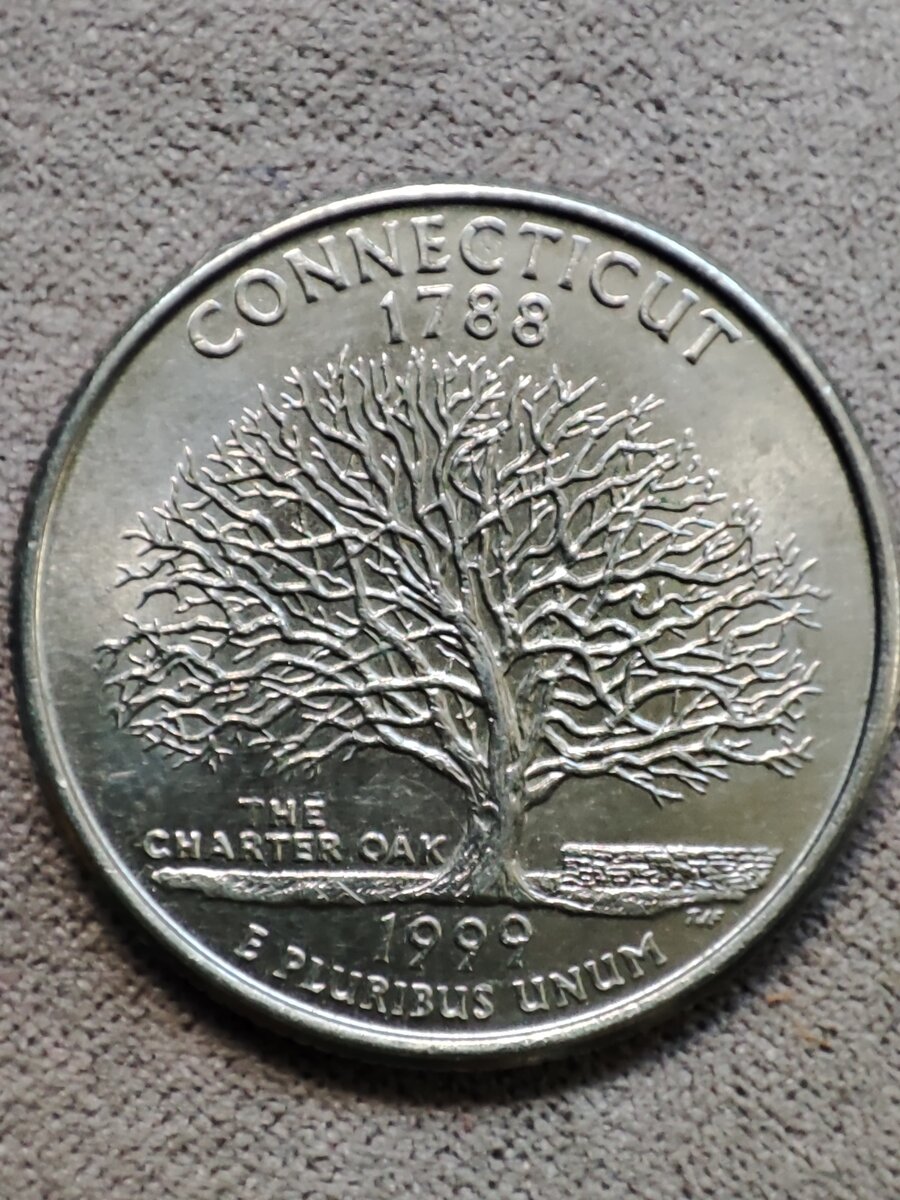 Дуб Хартии.