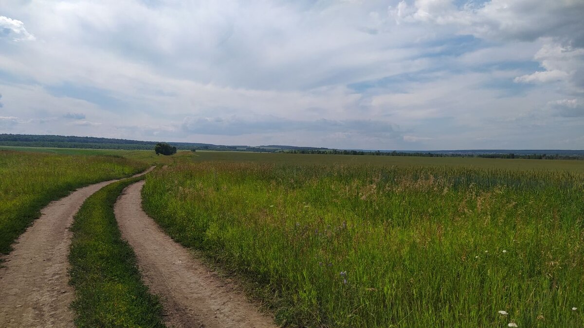 Личное фото