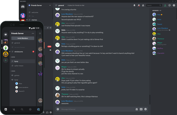    Интерфейс Discord