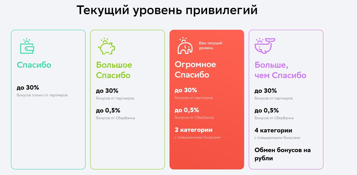 Список аптек партнеров сбер спасибо