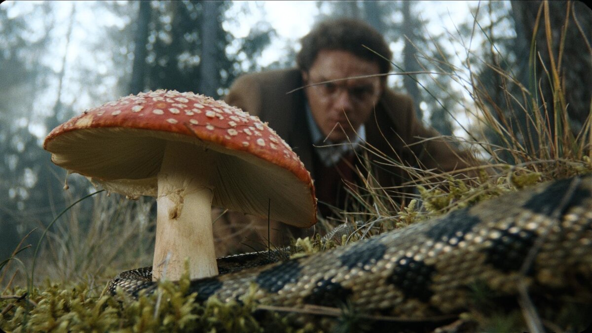 Источник: Яндекс-картинки