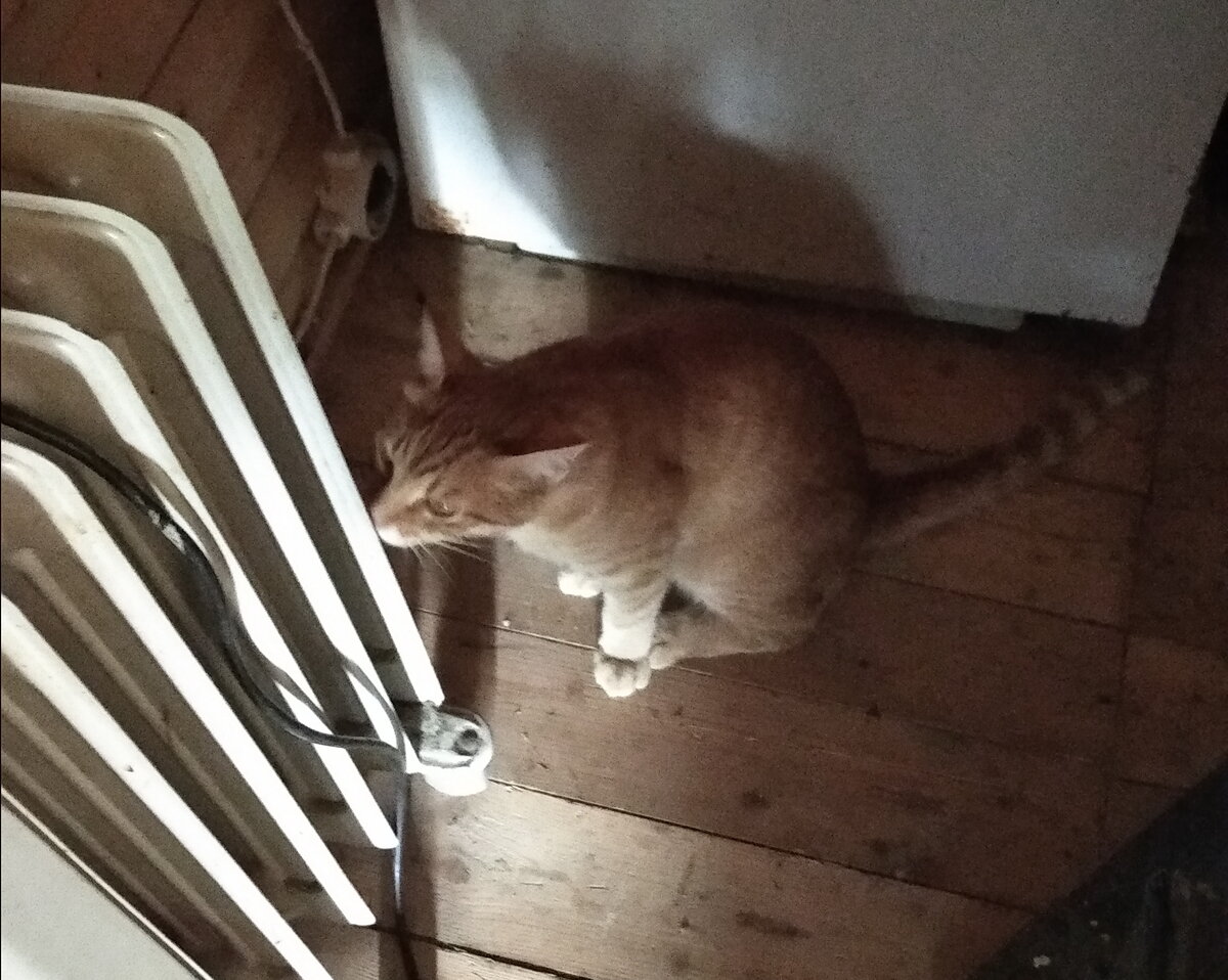 Личное  фото.