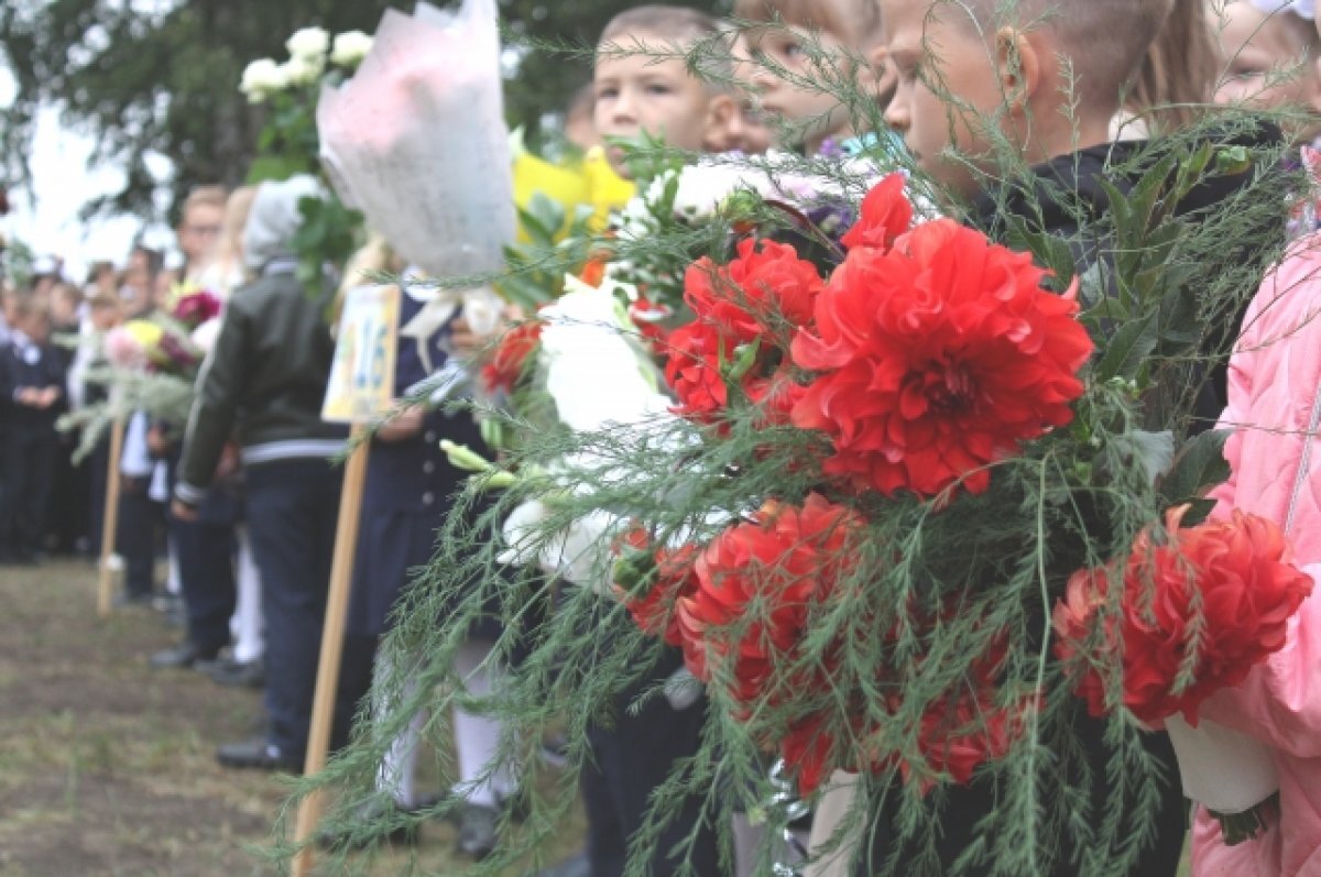    2023-2024 учебный год: каким он будет для школьников Самарской области