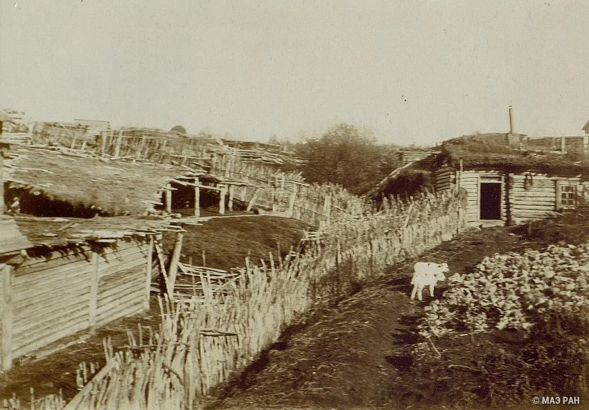 Изба безземельного бобыля. Русские. Алтайский край (Кузнецкий уезд). 1911-1913 гг. Автор - Круковский М.А. 