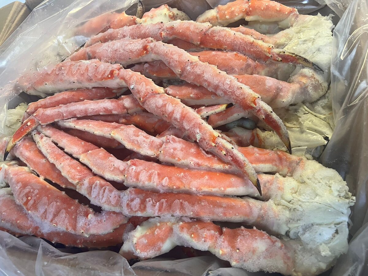 Клешни камчатского краба