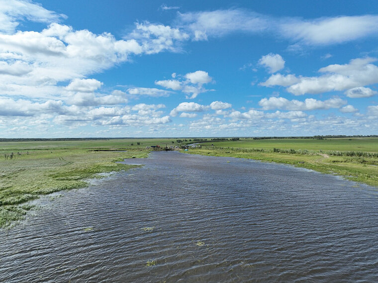    Выпущенные мальки адаптированы к естественным местам обитания в северных регионах