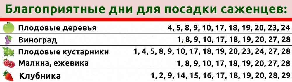 Календарь цветовода на сентябрь 2024 года Лунный календарь садовода сентябрь 2023: найдено 85 картинок