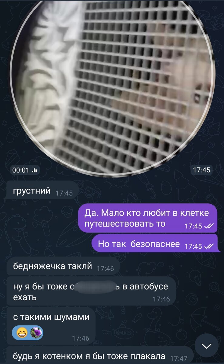 Скрин переписки