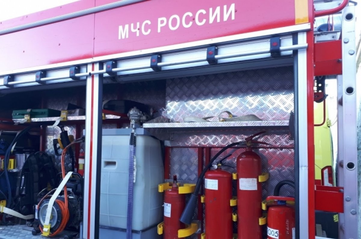    В тюменском селе многодетный отец спас дочек из горящего дома