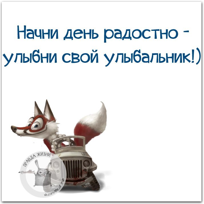 Любой случай жизни. Смешные умные фразы. Смешные и Мудрые высказывания. Умные и смешные цитаты. Умные Веселые высказывания.