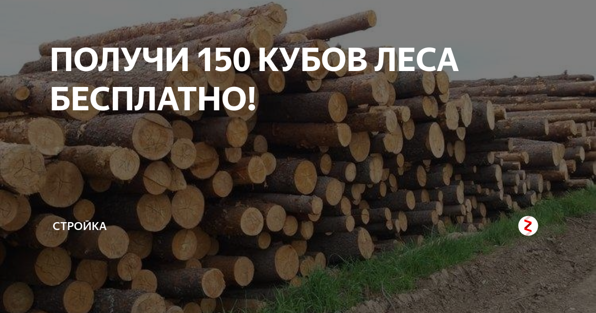 150 кубов леса это сколько фото