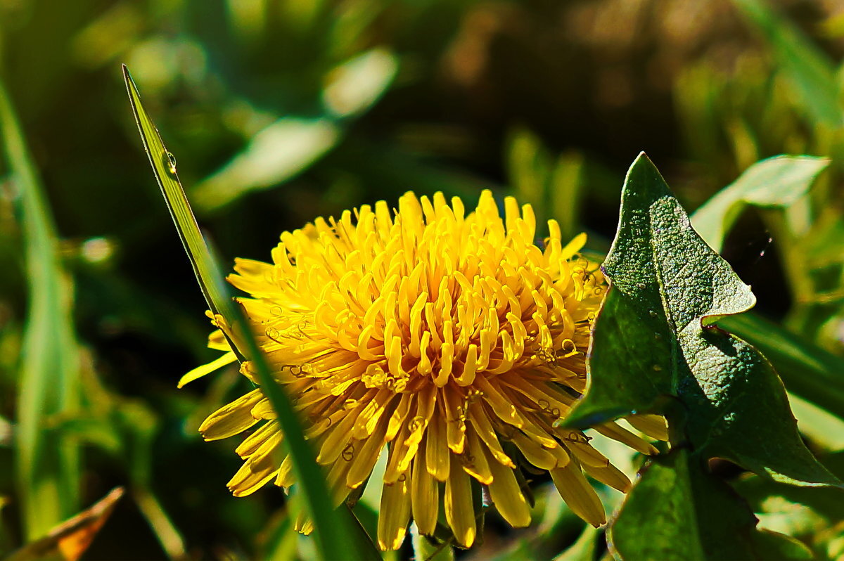 Фото: fotokto.ru