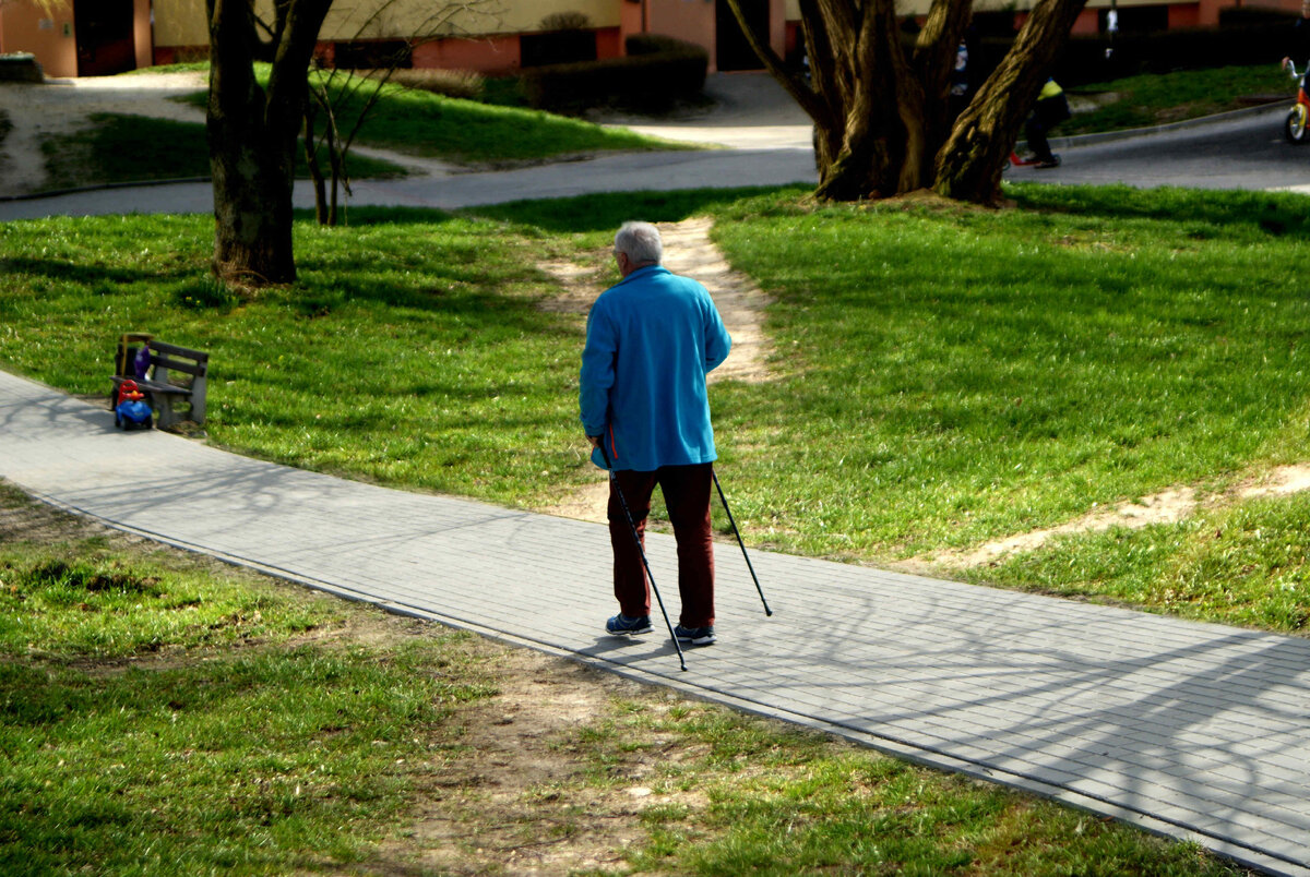 Скандинавская ходьба - Nordic walking