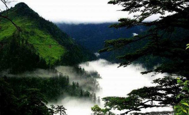 фото взято с сайта "1digest"