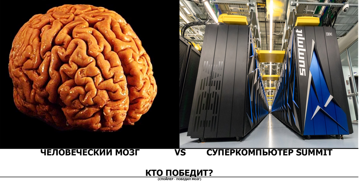 Жареные свиные мозги рецепт с фото, как приготовить мозги свиные жареные на конференц-зал-самара.рф