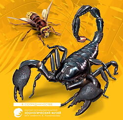 Соберите уникальную коллекцию насекомых в специальных прозрачных защитных капсулах.