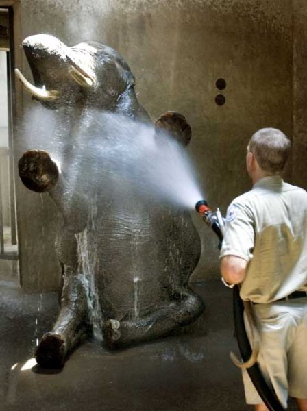 В Великобритании температура, как ожидается, достигнет 33C (91.4 F) на юго-востоке.