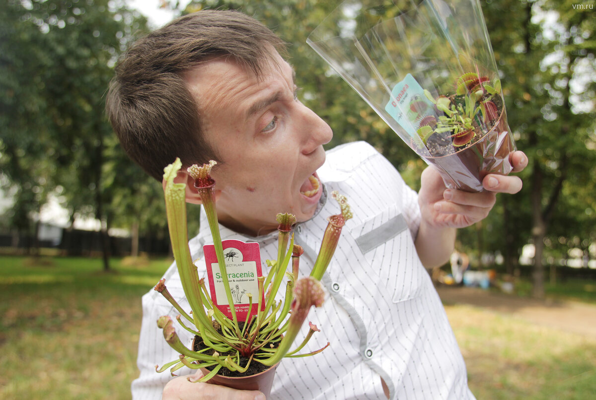 Фото: Наталия Нечаева, "Вечерняя Москва" 