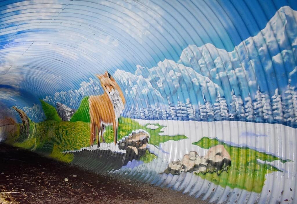 Фото: instagram.com/stenaclub