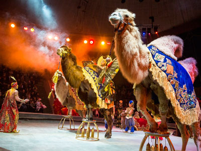 Большой Московский цирк приглашает москвичей и гостей столицы на новогодний цирковой спектакль "Песчаная сказка", премьера которого состоится 15 декабря 2018 года.-2