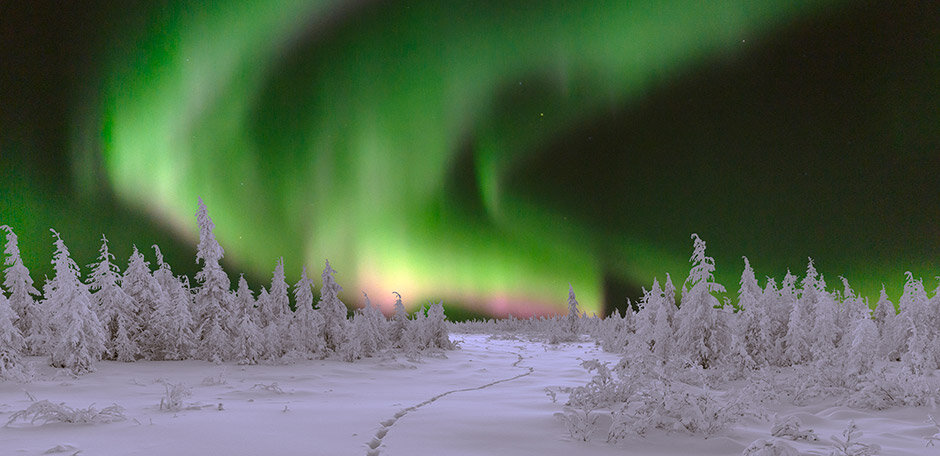 Фото: gettyimages.com