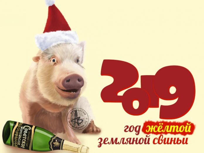 2019 год желтой земляной свиньи (кабана)