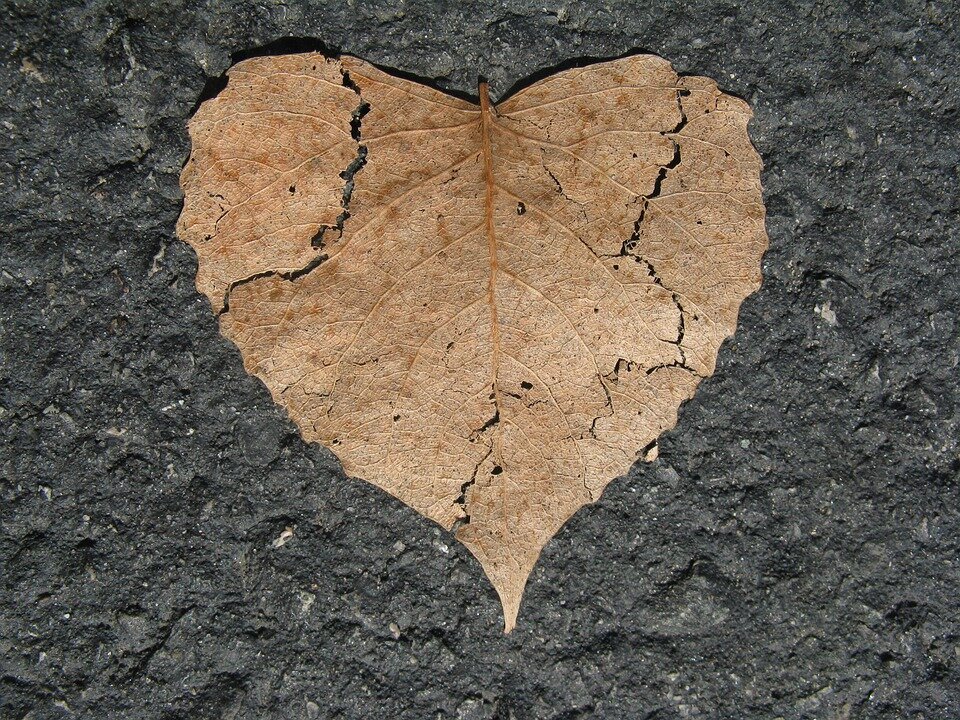 фото с сайта pixabay.com